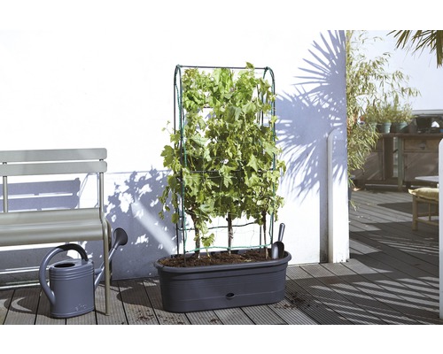 Terrassenszene mit Pflanzenkasten, Rankhilfe, Gießkanne und Sitzbank