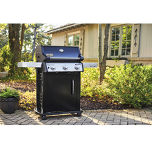 Weber Spirit Gasgrill mit zwei Brennern und Seitentisch