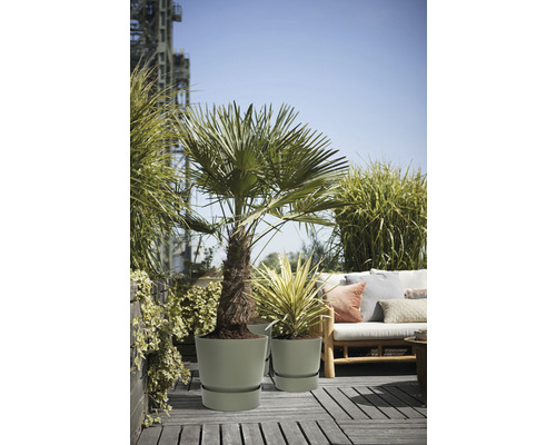 Szene mit Pflanzen in Pflanzgefäßen auf einer Terrasse