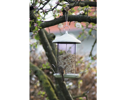 Vogelfutterhaus mit Futter und Vogel im Garten