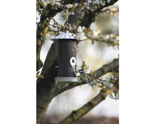 Vogelhäuschen mit Vogel im Baum
