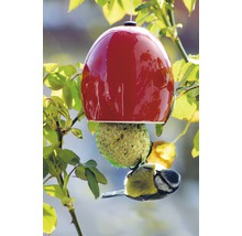 Vogel frisst an einer Futterstation in Form eines Apfels