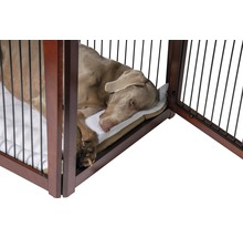 Hund liegt auf Kissen in einem braunen Hundekäfig aus Holz und Metall