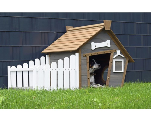 Hund in einem Holzhaus mit Zaun im Garten
