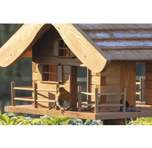 Vogelhaus mit einem Rotkehlchen