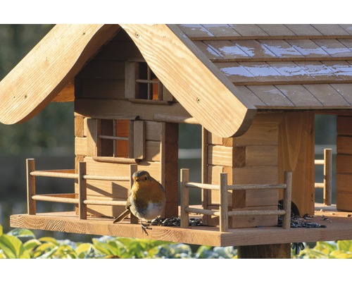 Vogelhaus mit einem Rotkehlchen
