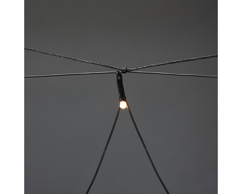 Detailaufnahme einer Lichterkette mit Kabel und LED-Lampe