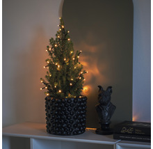 Dekorativer Nadelbaum mit Lichterkette in einem Topf