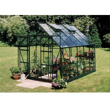 Gewächshaus Halls Magnum 108 8,3 m² Blankglas 3 mm 257x322 cm grün