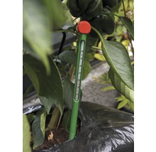 Gartenthermometer zur Temperaturmessung im Gartenbeet