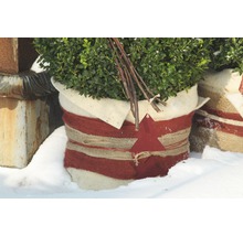 Dekorativer Pflanztopf mit immergrünem Busch und weihnachtlicher Verzierung im Schnee