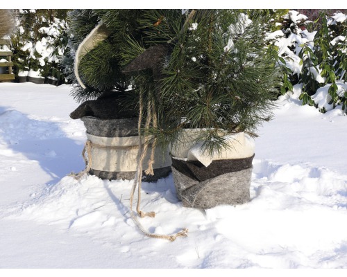 Zwei kleine Bäume in Töpfen im Schnee.