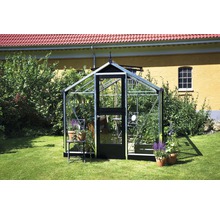 Gewächshaus im Garten mit Pflanzen und Blumentöpfen.
