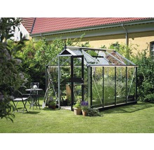 Gewächshaus im Garten mit Pflanzen und Gartengeräten