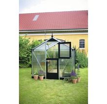 Gewächshaus JULIANA Compact 6,6 m² mit 10 mm Doppelstegplatten 224 x 296 cm Aluminium