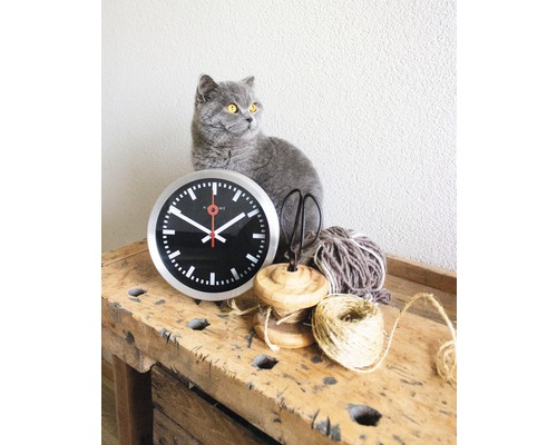 Stillleben mit Wanduhr, Wolle, Garnspulen und Katze auf einer Werkbank