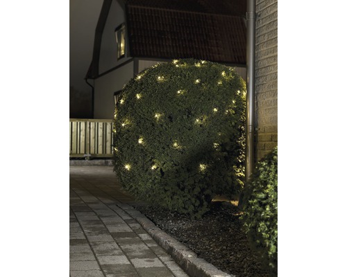 Beleuchteter Busch mit Lichtern im Garten