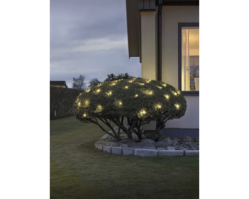 Gartenansicht mit beleuchtetem Busch in der Nähe eines Hauses