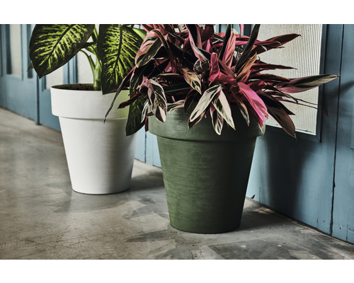 Zwei Pflanzgefäße mit Pflanzen