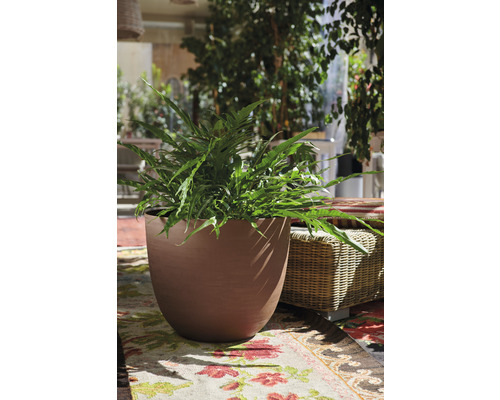 Großer Pflanzkübel mit Farn auf einem gemusterten Teppich