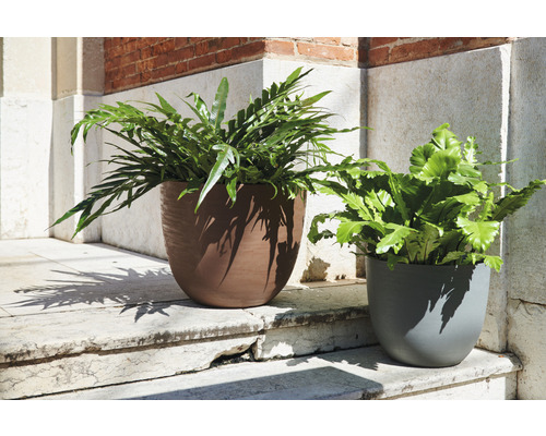 Zwei bepflanzte Übertöpfe aus Kunststoff auf einer Steintreppe