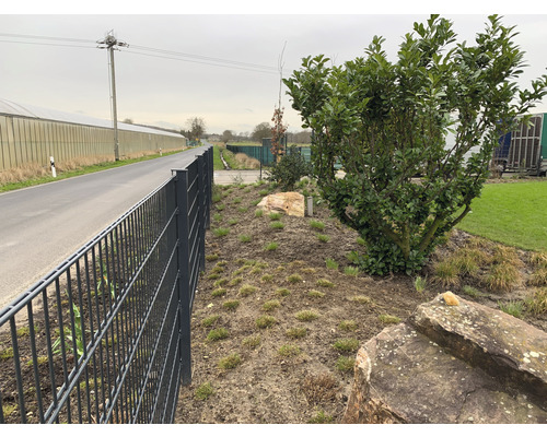 Zaun neben einer Straße mit einem Feld