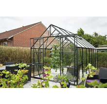 Gewächshaus mit Pflanzen im Gartenbereich.