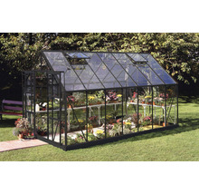 Gewächshaus mit Glas und Pflanzen im Garten