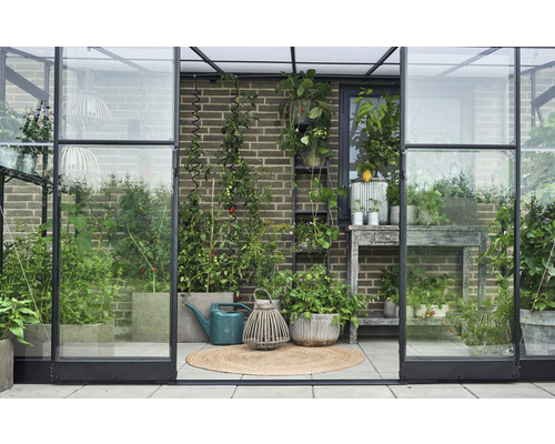 Gewächshaus mit Pflanzen, Gießkanne und Dekorationen