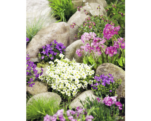 Gartenlandschaft mit Steinen und verschiedenen blühenden Pflanzen