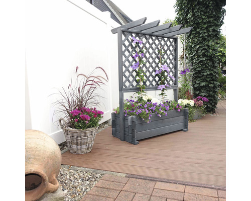 Blumenkasten mit Rankgitter und Bepflanzung auf einer Terrasse