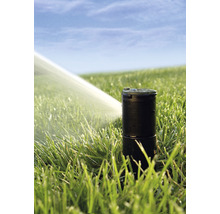 Versenkregner beim Rasen bewässern