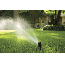 Rasensprenger bewässert Rasenfläche im Garten