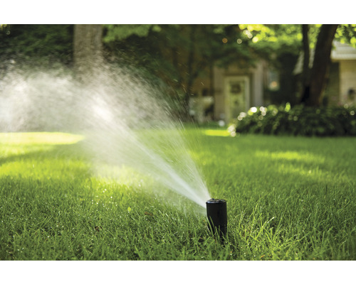 Rasensprenger bewässert Rasenfläche im Garten