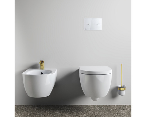 Wandhängendes Bidet, Toilette, Betätigungsplatte und Toilettenbürste in einem Badezimmer.