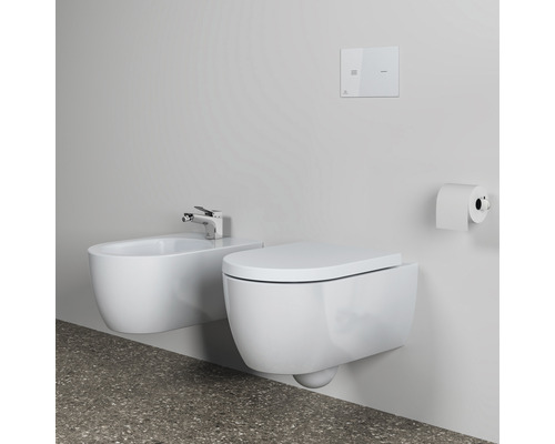 Wandhängendes Bidet und Toilette mit Betätigungsplatte und Toilettenpapierhalter im Badezimmer