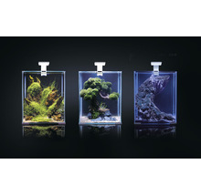 Drei dekorierte Aquarien mit Beleuchtung