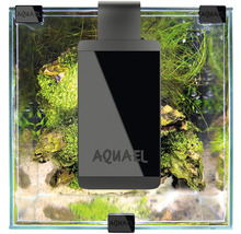 Aquarium mit LED-Beleuchtung und Pflanzen