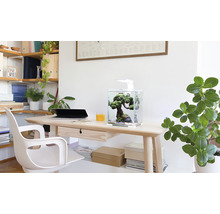 Arbeitszimmer mit Schreibtisch, Stuhl und Aquarium mit Beleuchtung