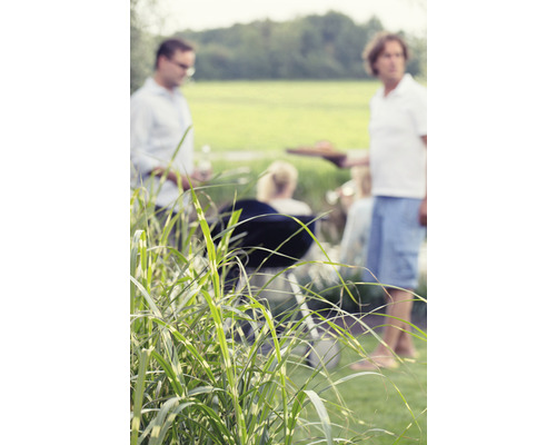 Gartenszene mit Grill und geselligem Beisammensein im Freien
