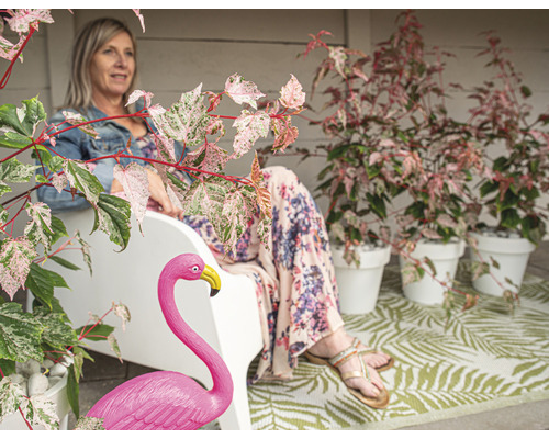 Dekorativer Außenbereich mit Frau auf Bank, Flamingoskulptur und Pflanzen in Töpfen.