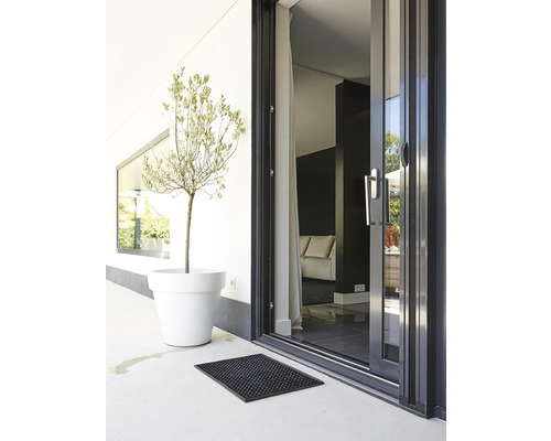 Szene mit Terrassentür, Pflanze im Topf und Fußmatte.