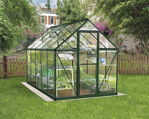 Gewächshaus im Garten mit Pflanzen