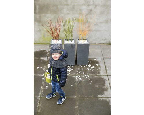 Junge mit Ziersträuchern in Pflanzgefäßen und weißen Steinen im Garten