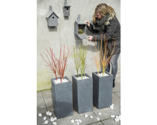 Drei Pflanzen in grauen Pflanzgefäßen, Frau öffnet Nistkasten