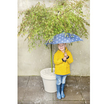 Ein Kind mit gelbem Regenmantel und Regenschirm steht bei Regen unter einem Baum im Topf.