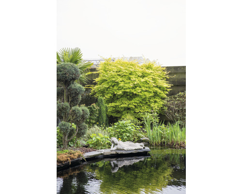 Gartenteich mit Statue, Bäumen und Pflanzen für eine ruhige Gartengestaltung
