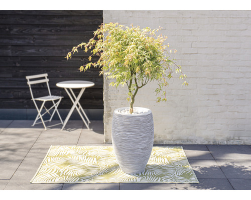 Szene mit Ahornbaum im Topf, Gartentisch, Gartenstuhl und Teppich