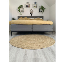 Schlafzimmer mit Bett, Regalen und rundem Teppich