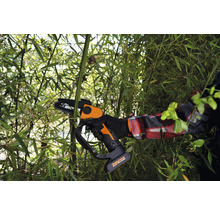 Akku-Kettensäge beim Schneiden von Bambus